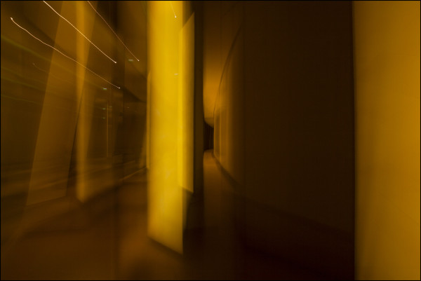 Immersion jaune - Julien Thuret
