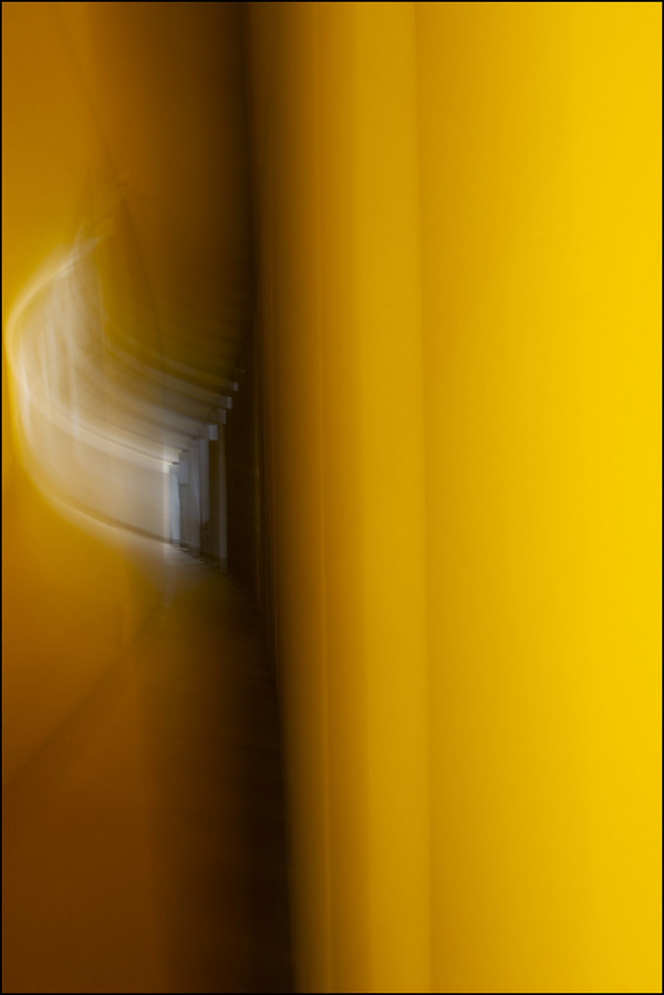 Immersion jaune - Julien Thuret