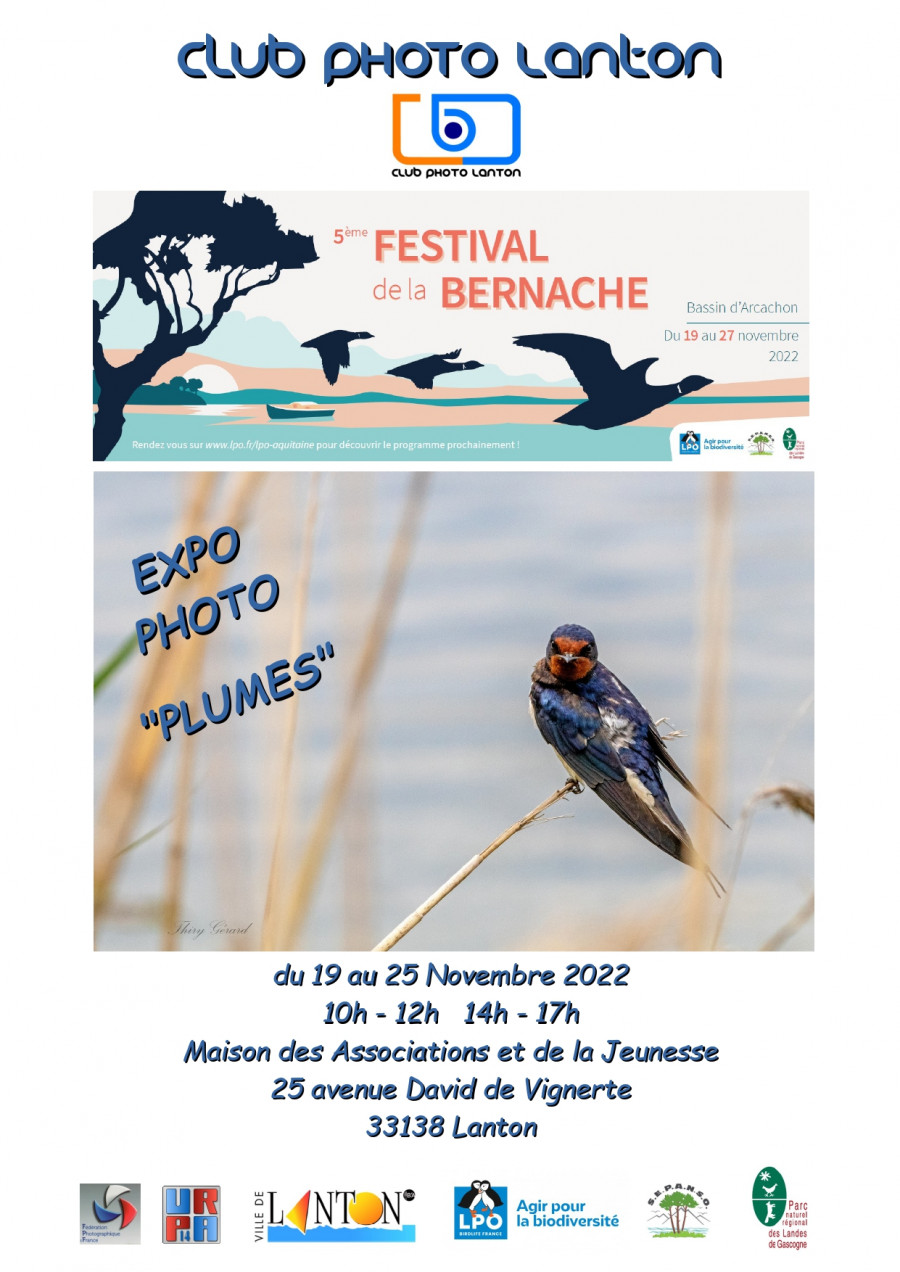 Le Photo Club de Lanton participe au 5e Festival de la Bernache