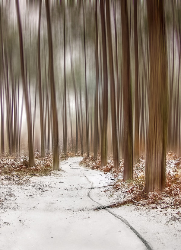 Petites séries présentées lors du congrès de Tonneins les 13 et 14 décembre 2026