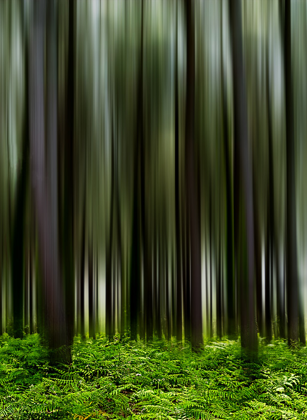 Petites séries présentées lors du congrès de Tonneins les 13 et 14 décembre 2026