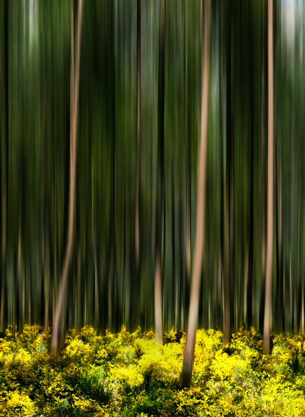 Petites séries présentées lors du congrès de Tonneins les 13 et 14 décembre 2026