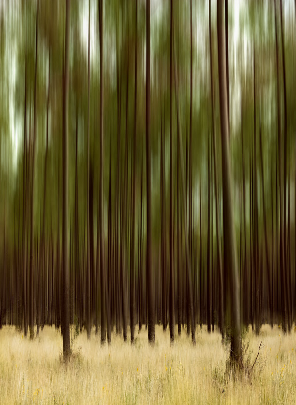 Petites séries présentées lors du congrès de Tonneins les 13 et 14 décembre 2026