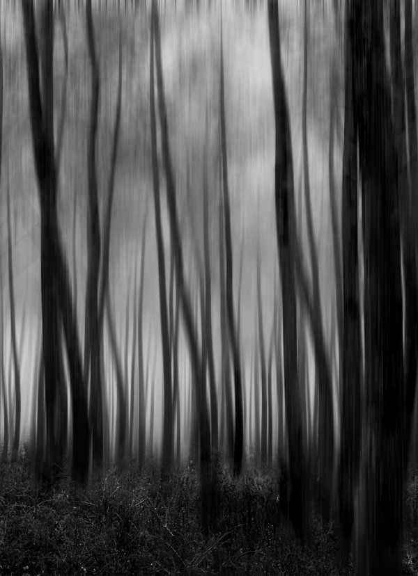 Petites séries présentées lors du congrès de Tonneins les 13 et 14 décembre 2026