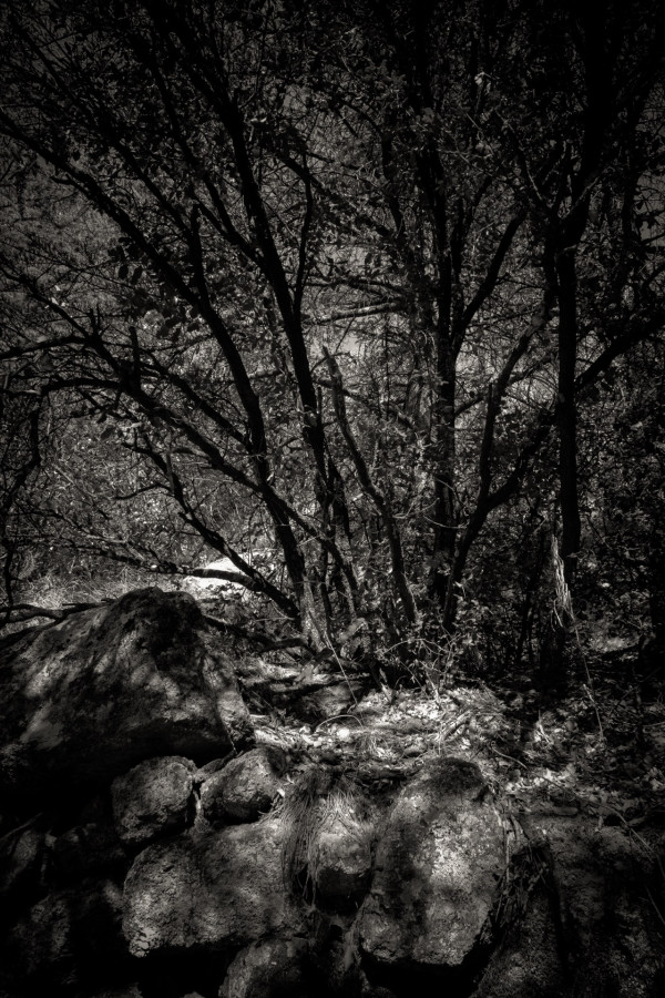 Petites séries présentées lors du congrès de Tonneins les 13 et 14 décembre 2026