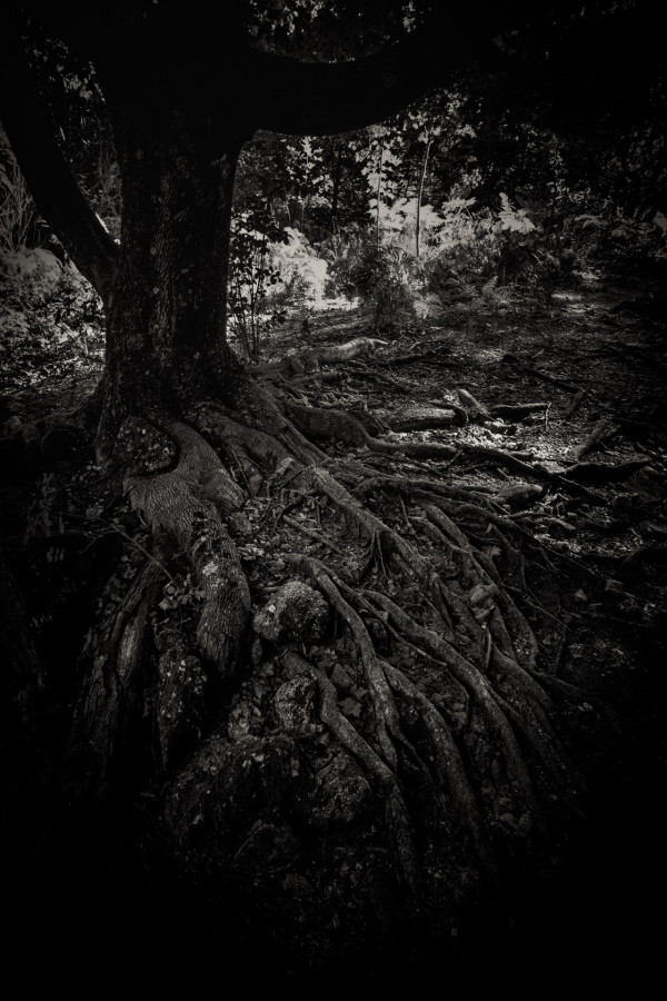 Petites séries présentées lors du congrès de Tonneins les 13 et 14 décembre 2026