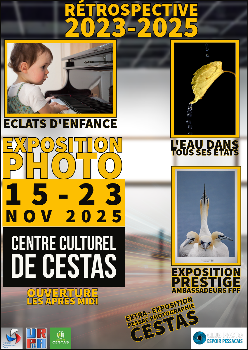 L'Espoir Pessacais expose à Cestas du 15 au 23 novembre